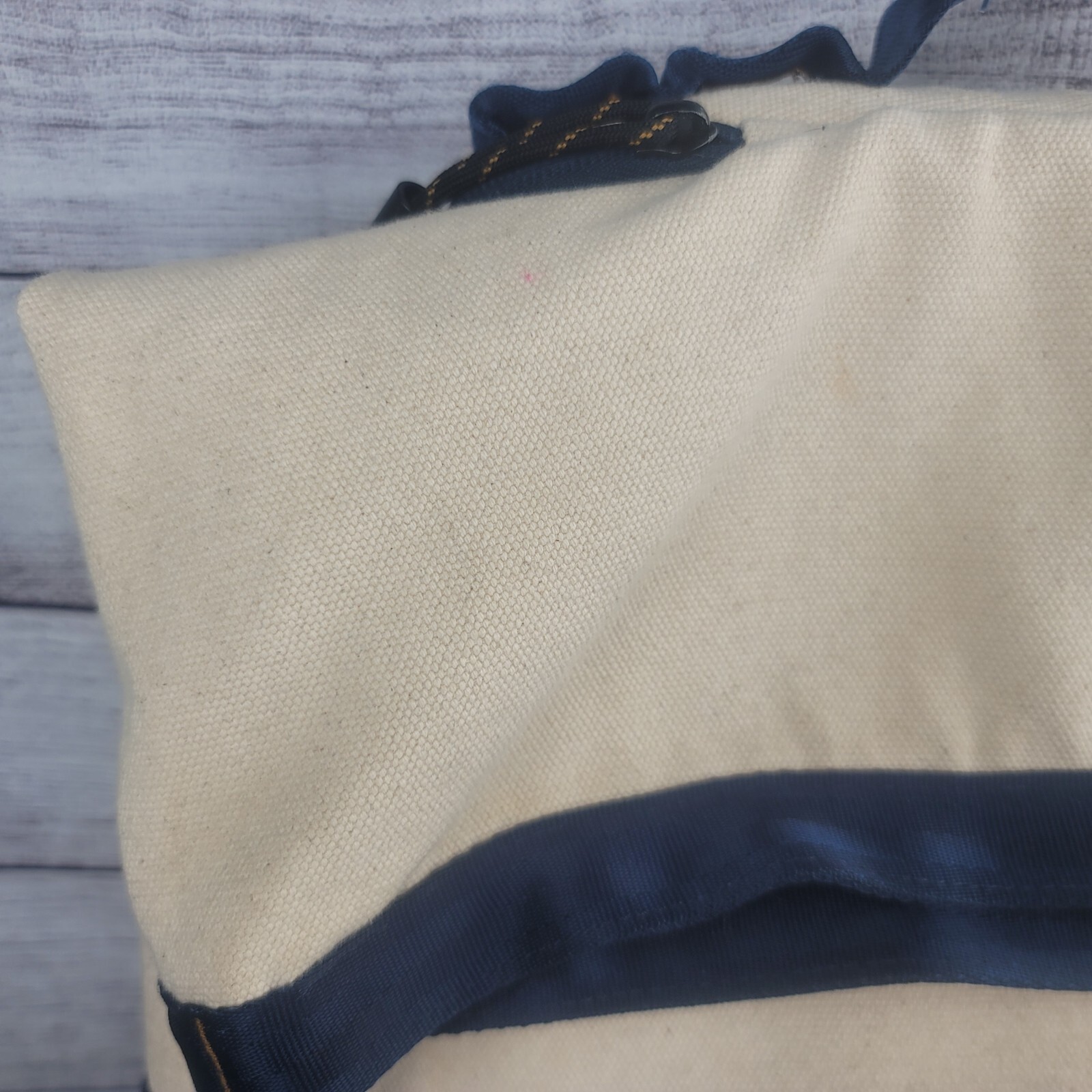 Focused Space Unisex The Supply Backpack Navy Blue, Cream