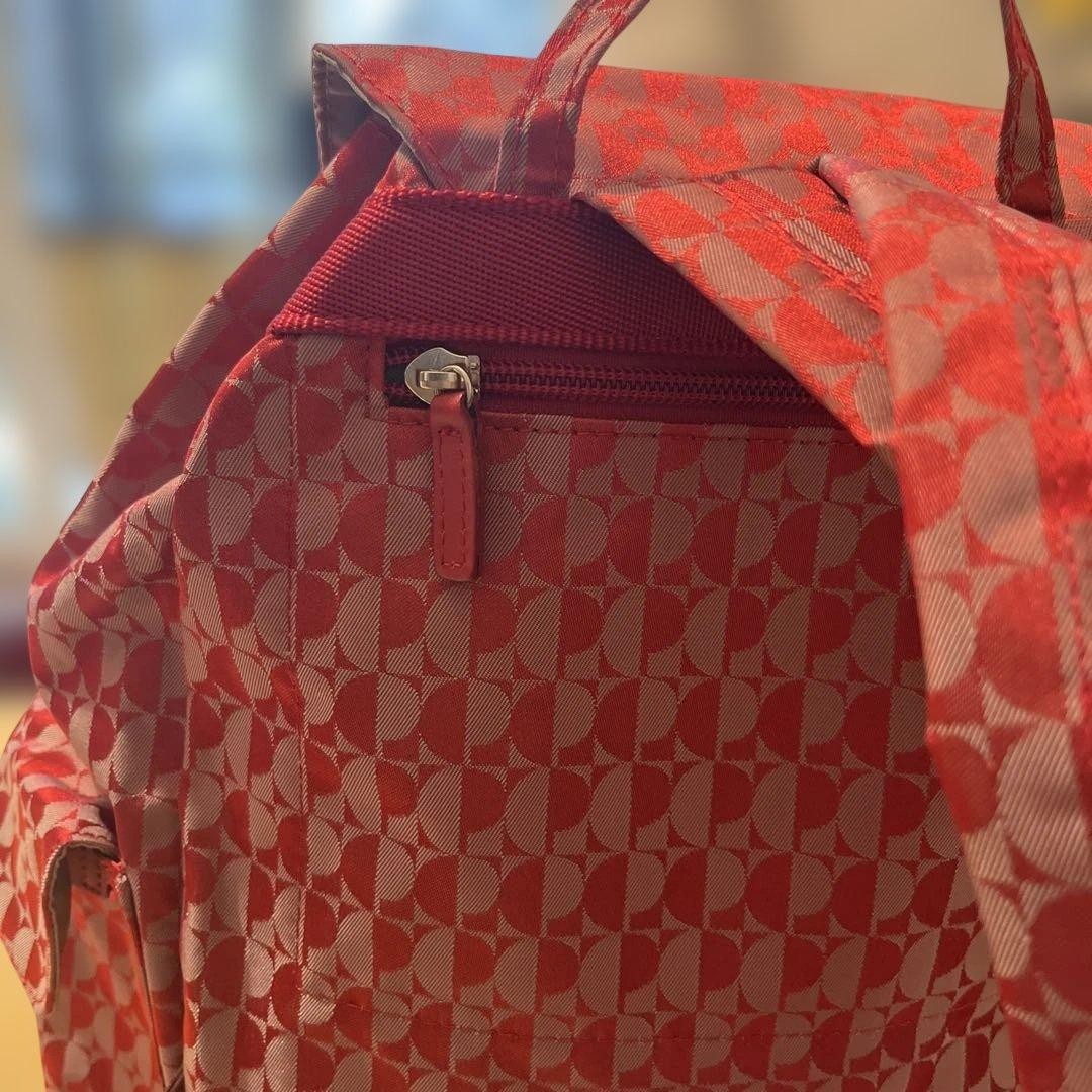 Pierre Cardin Disposer Bag