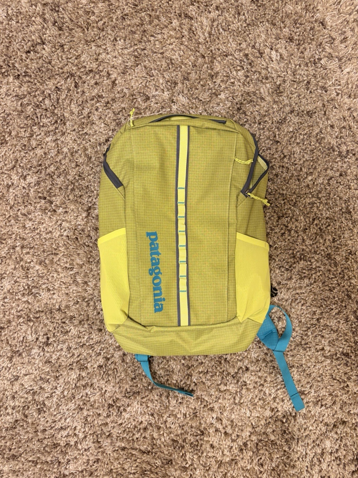 NWT Patagonia Black Hole 25L Backpack, Phosphorus Green Color