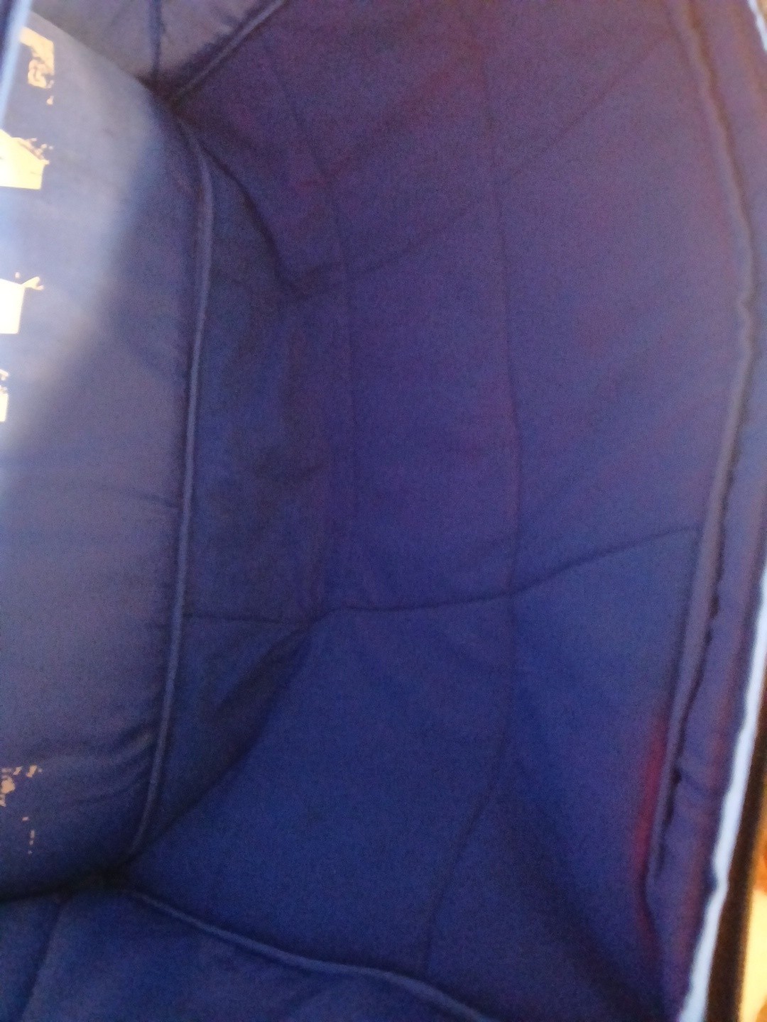 Detroit Piston Sneaker Duffle Bag