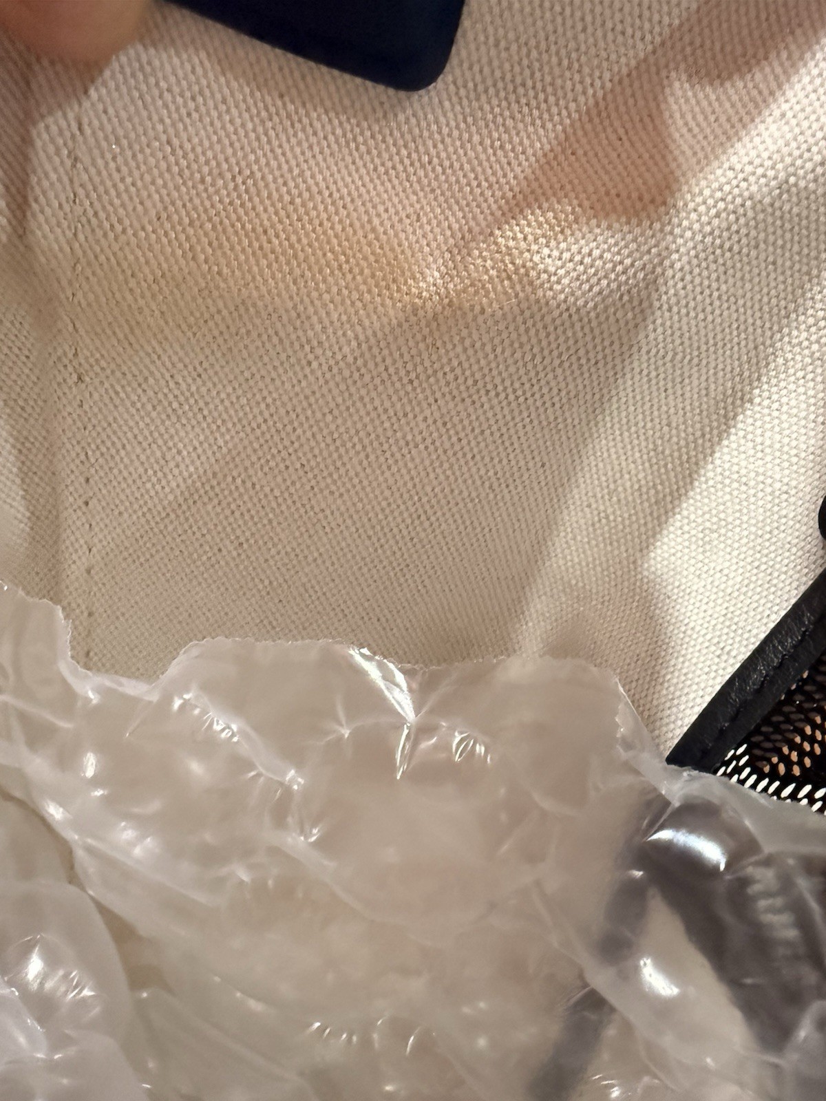 Black Cisalpin Goyard Backpack
