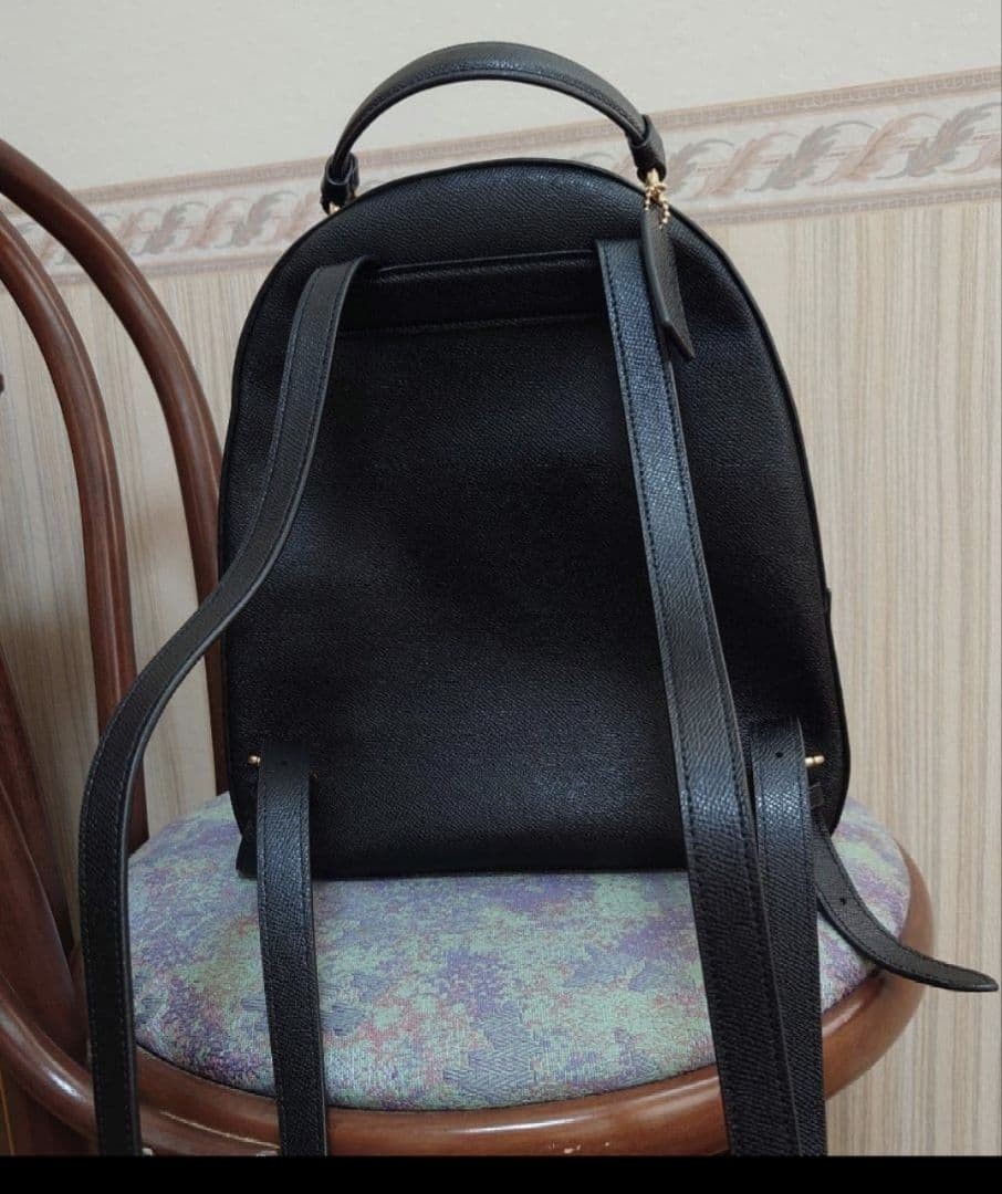 Coach Rucks Bag