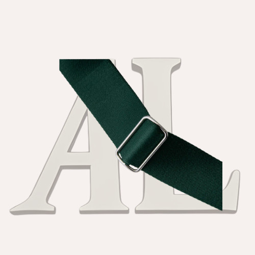 Goyard Coursier Messenger Bag in Green