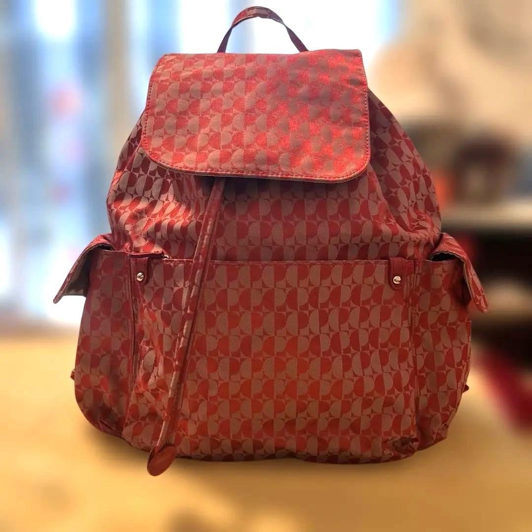 Pierre Cardin Disposer Bag