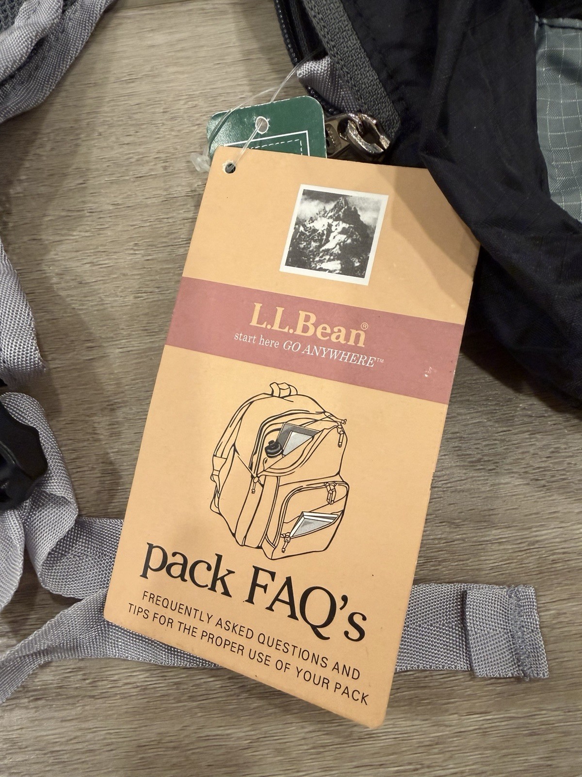 L.L.Bean Pocket Day Packable Backpack Folds Inside Pouch NWT