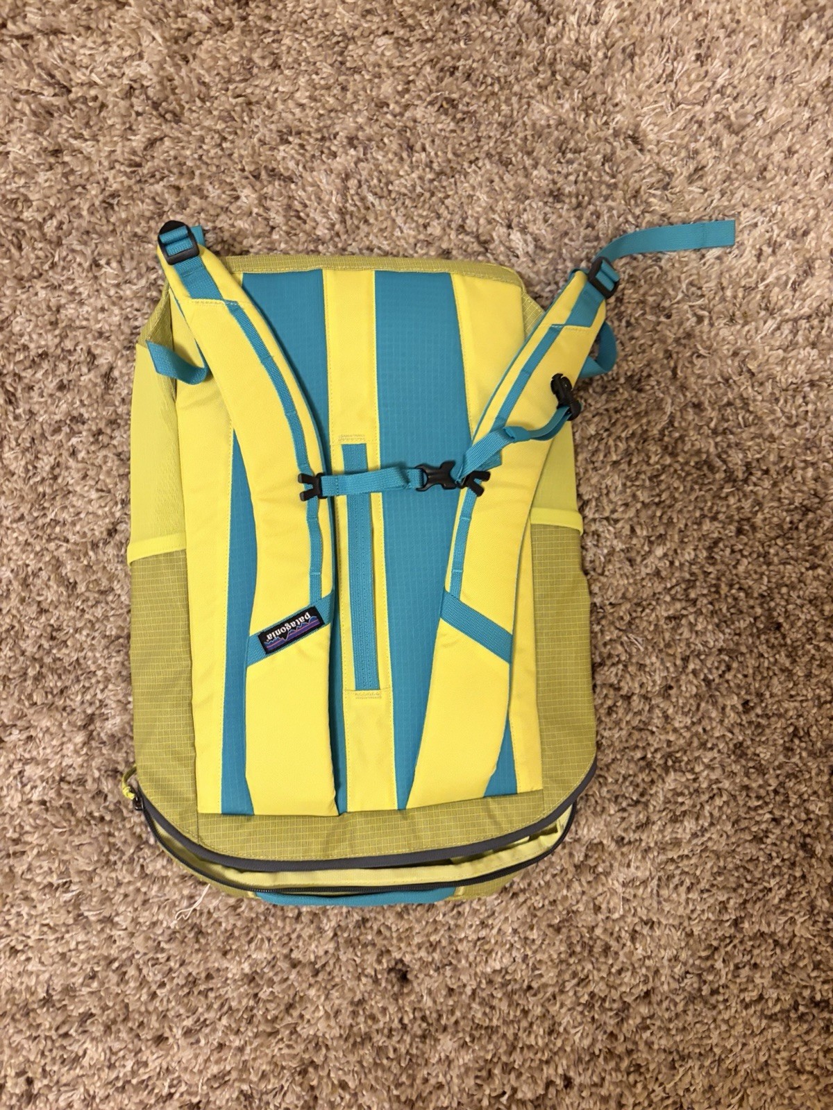 NWT Patagonia Black Hole 25L Backpack, Phosphorus Green Color