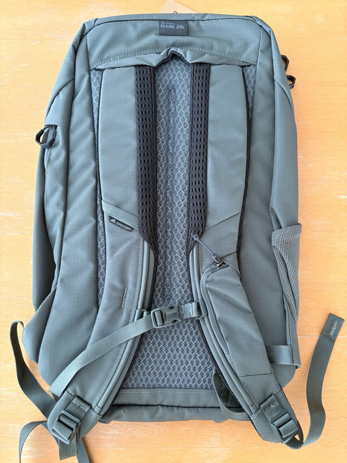 Gregory Rhune 20L Backpack, Swiss Green