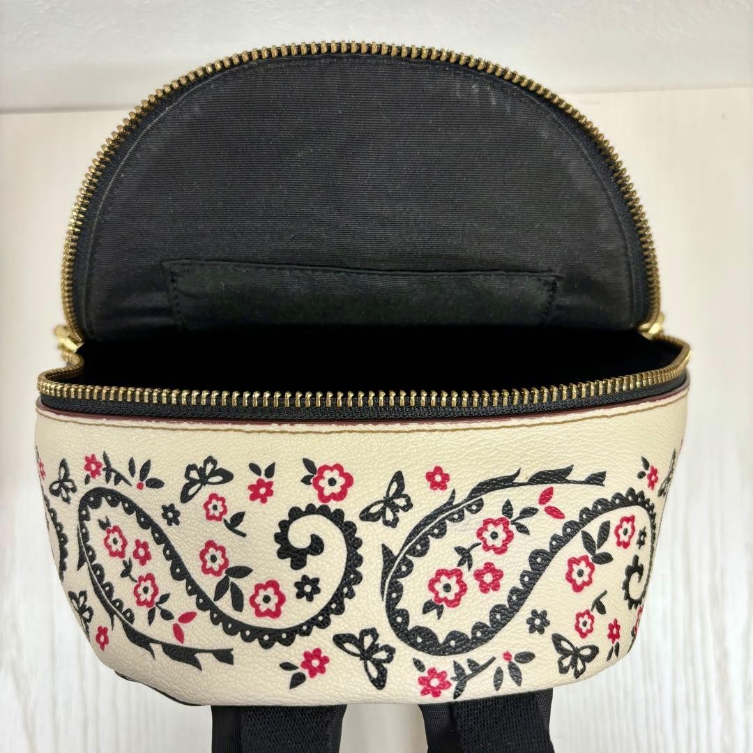 Import duty included for US buyers Coach Mini Backpack Charlie Paisley Red Acce