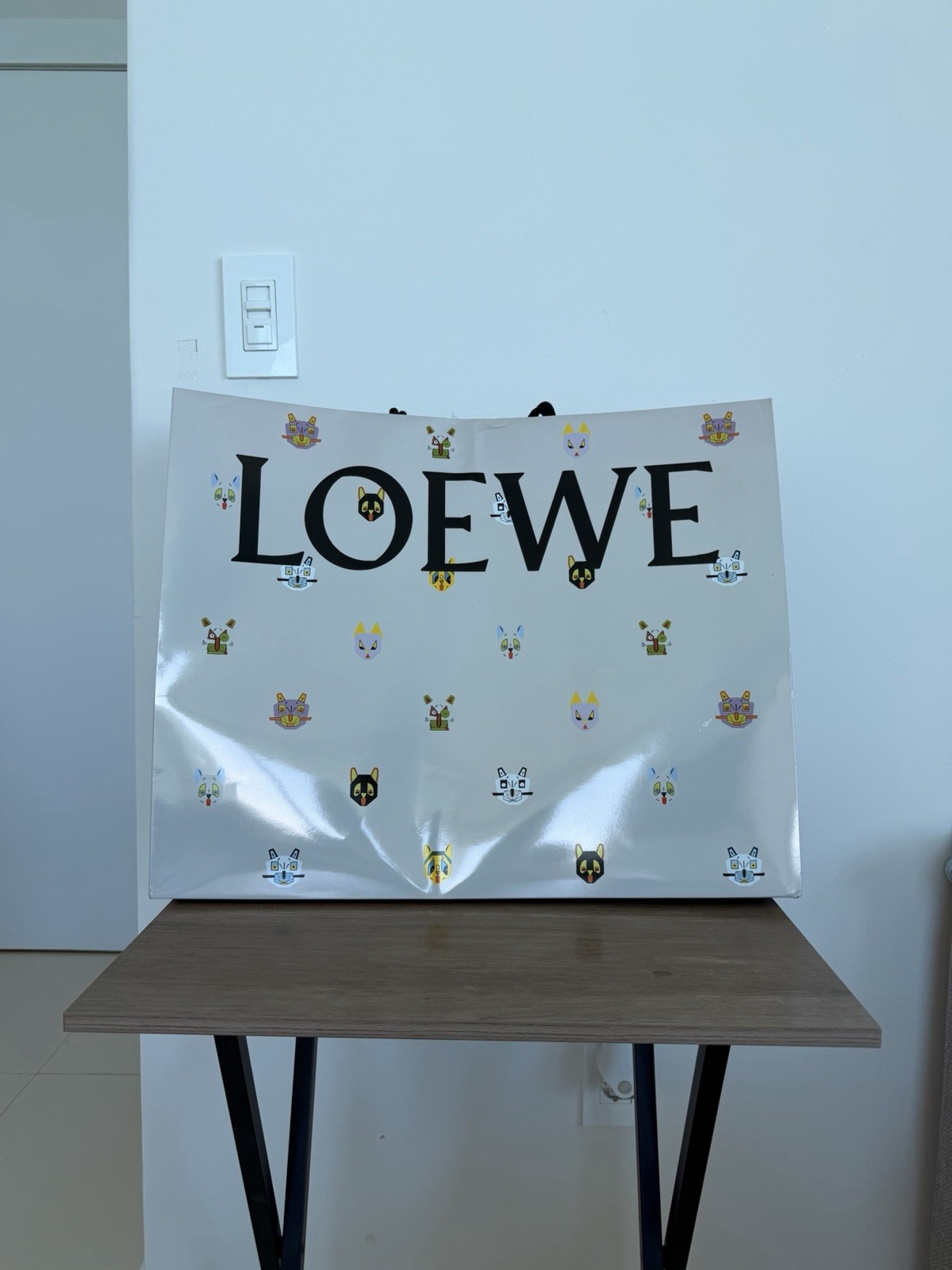 Brand New LOEWE Eye/LOEWE/Nature Grey Canvas Travel Bag – Men’s Luxury Bag