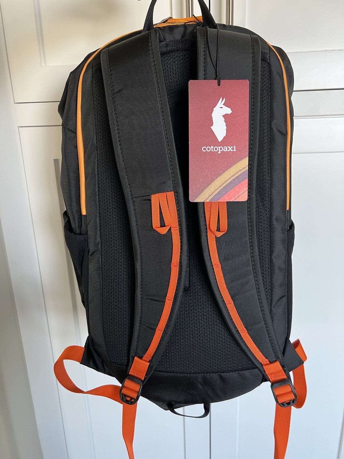 Cotopaxi Moda 20L New Cada Dia Backpack Bag