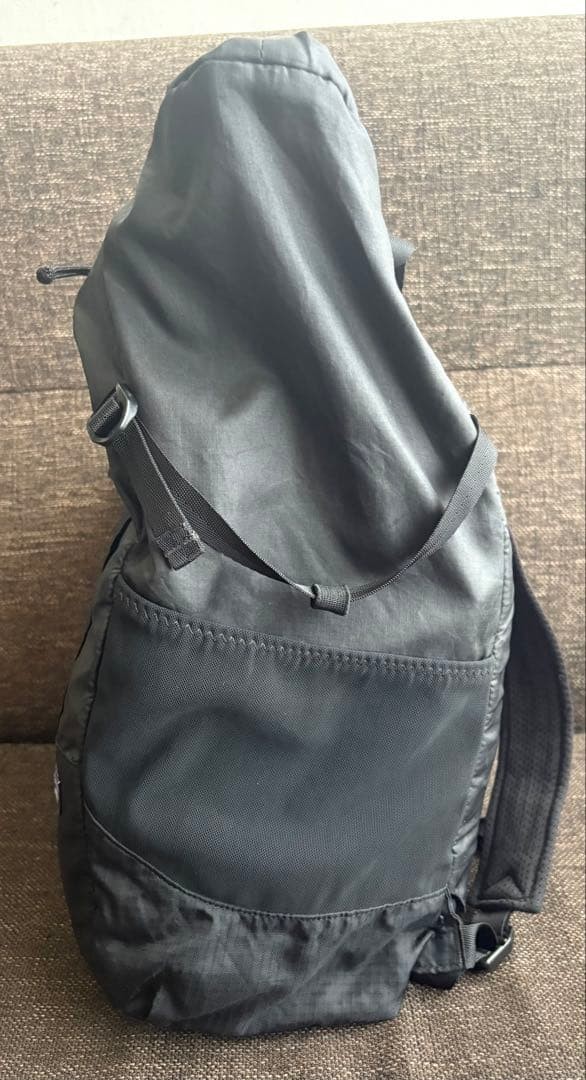 Patagonia Lightweight Travel Tote Pack 2way Bag Backpack