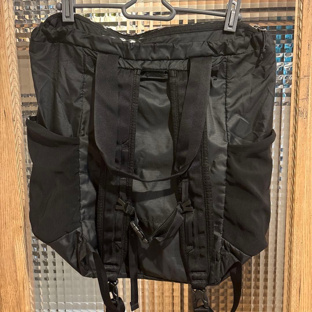 Excellent Condition Patagonia Lightweight Travel Tote Pack Lightweight Backpack