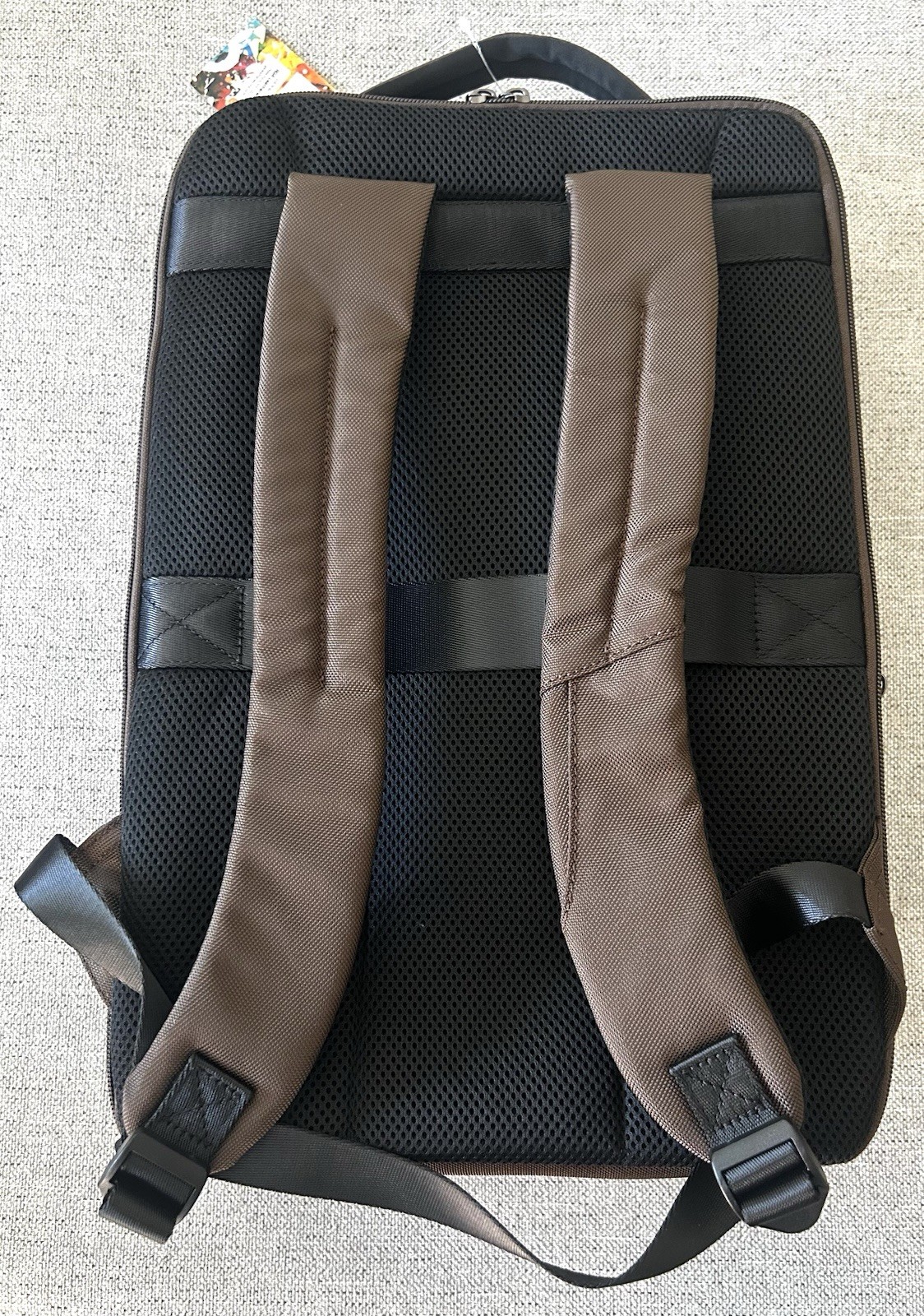 NWT Robert Graham LEATHER Panel Solid Travel Padded Laptop BROWN Backpack! $228!