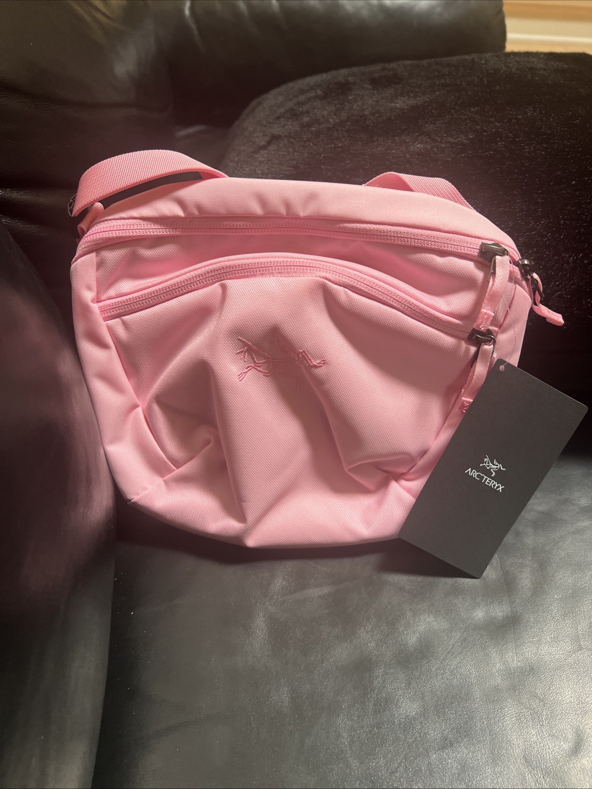 arc’teryx mantis 2 waist pack Color Pine berry Brand New With Tags