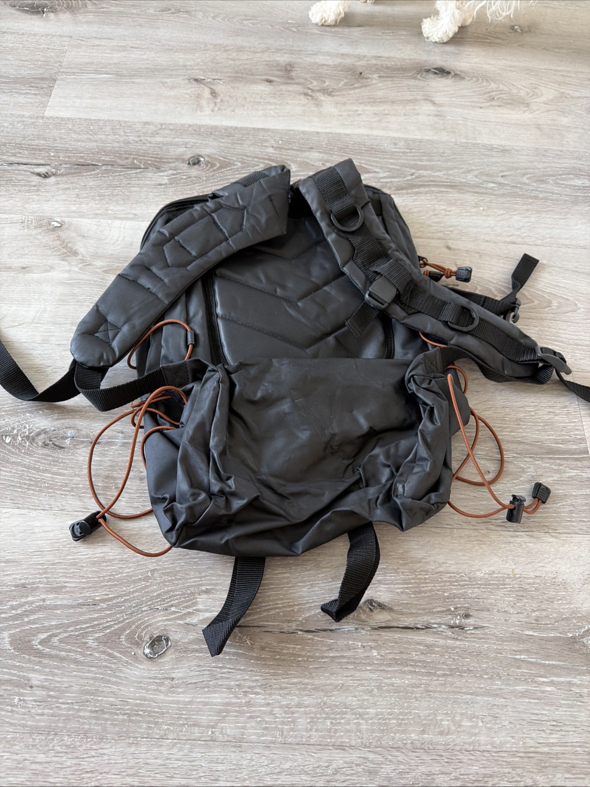 caterpillar backpack