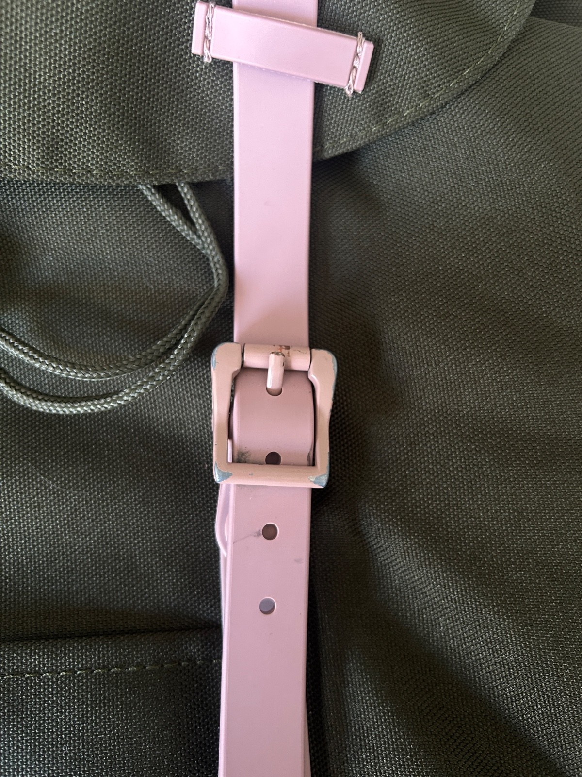 Herschel Supply Co Backpack Ash Pink Forest Green Retreat Limited Ed Colorway
