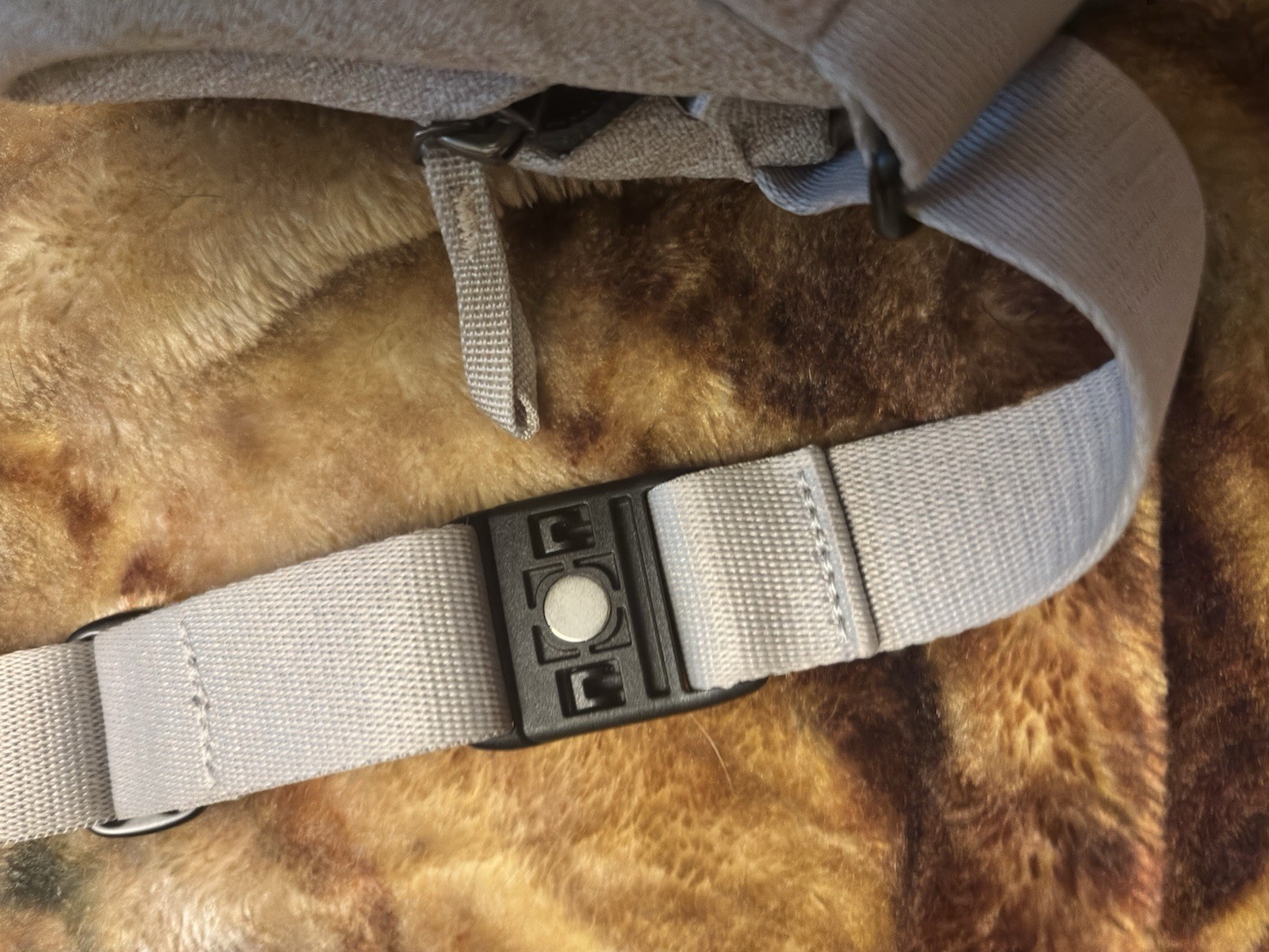 Bellroy Gray Messenger Bag Crossbody Strap Zip/Buckle, Inner Pockets Key Clip