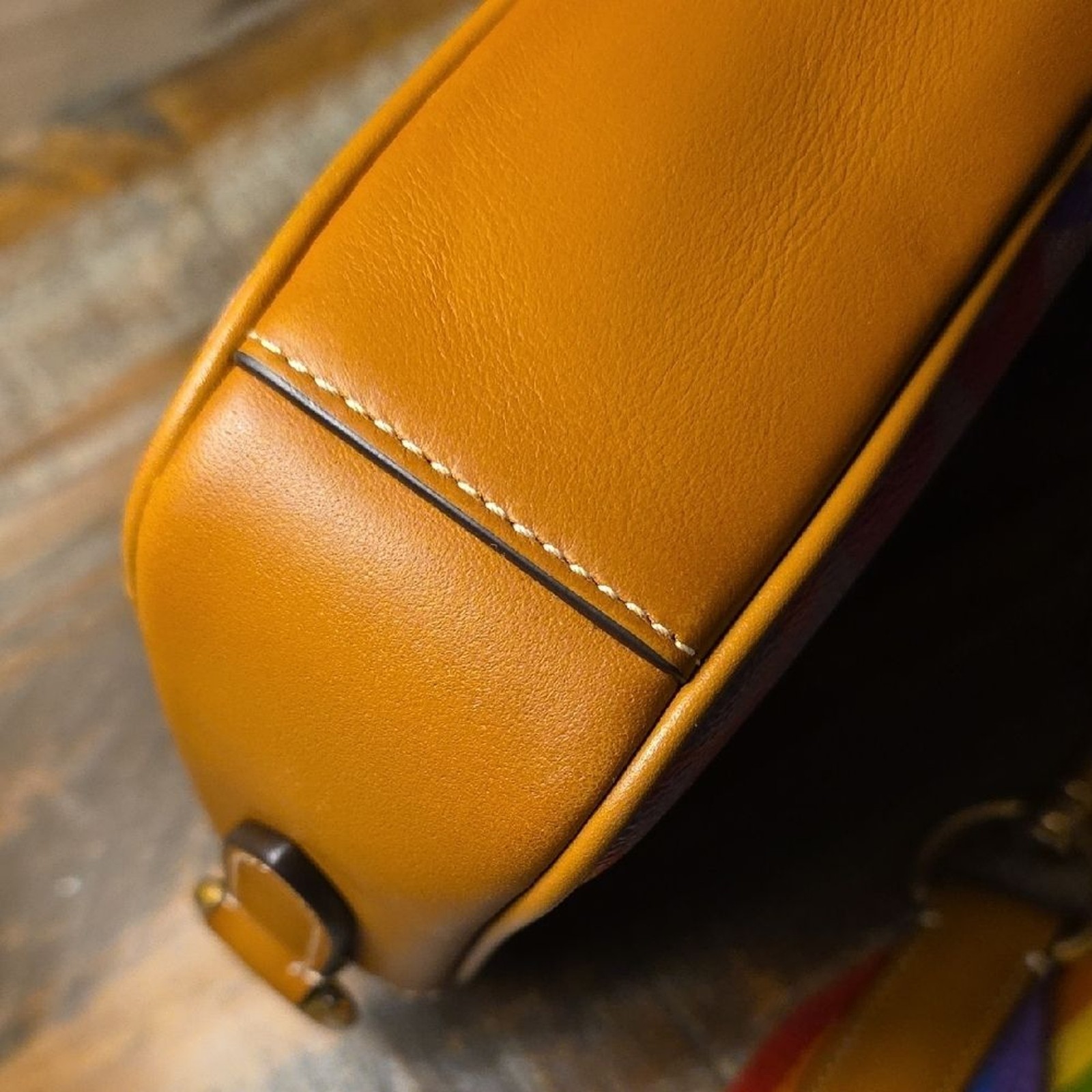 Coach Multicolor Crossbody Bag with Rainbow Strap