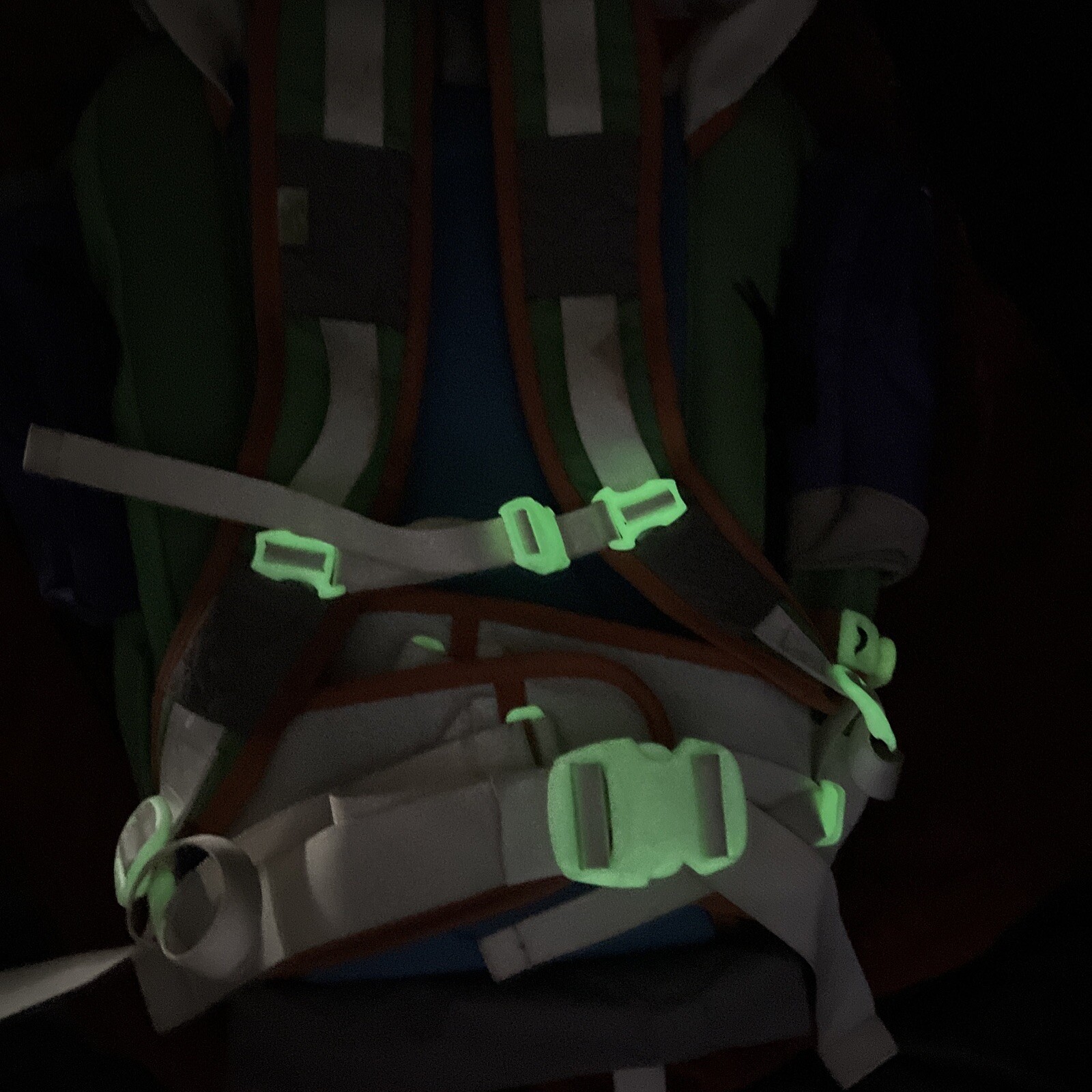 Nike SB Eugene “Buzz Lightyear” Backpack
