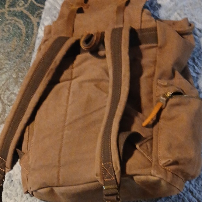 Augur Brown Backpack with Buckle, Magnetic, Zip Closures, Inner & Outer Pockets