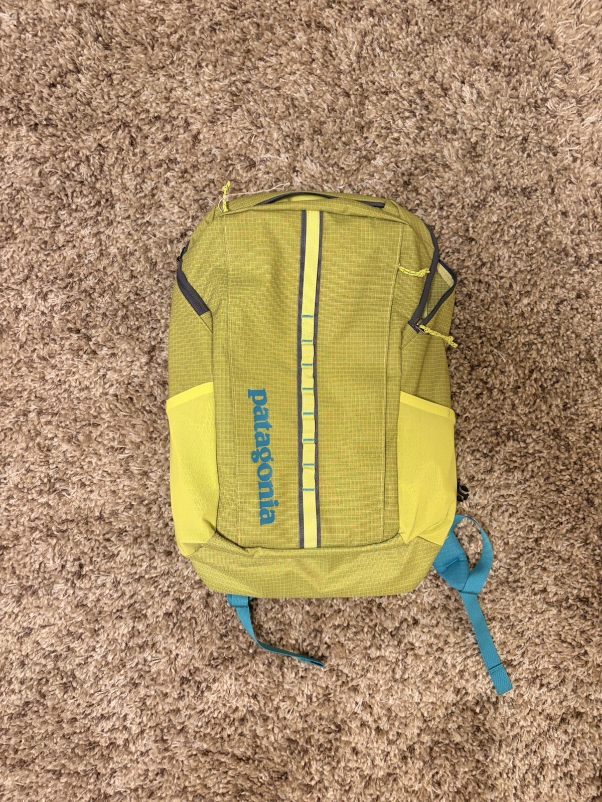 NWT Patagonia Black Hole 25L Backpack, Phosphorus Green Color