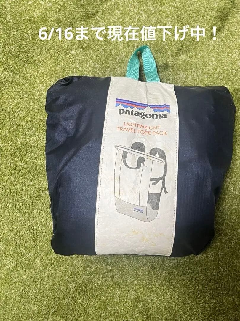 patagonia Lightweight Travel Tote Pack