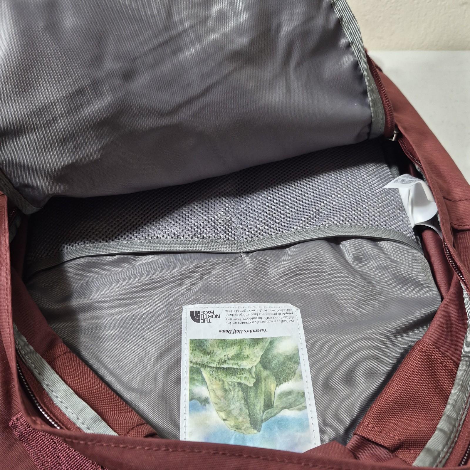 NEW THE NORTH FACE Berkeley Daypack One Size Sumac Backpack