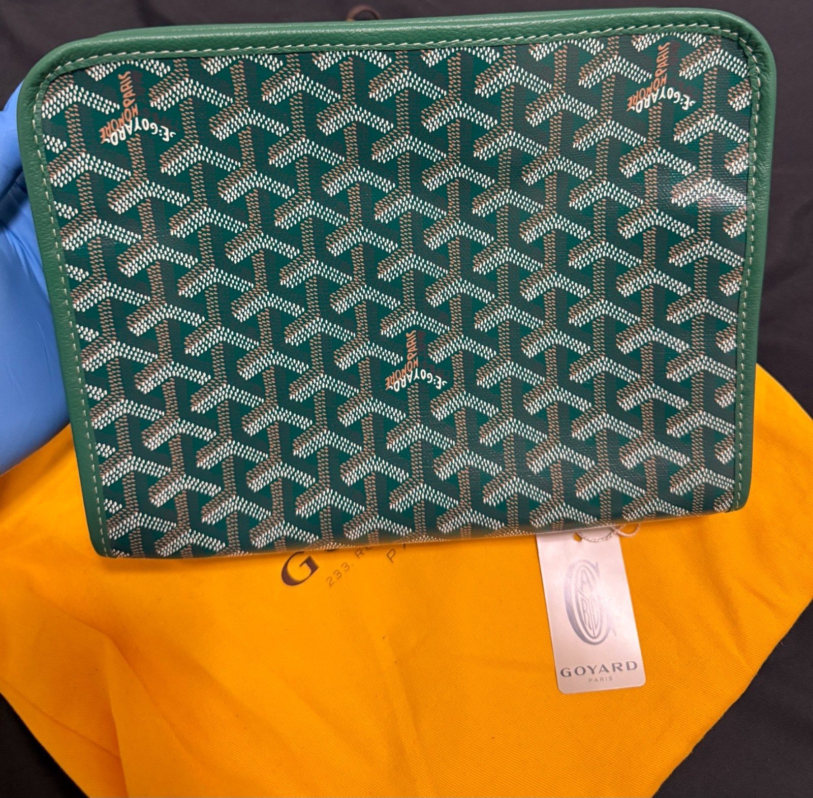 Goyard Jouvence Toiletry Pouch Coated Canvas MM -Green – 2024