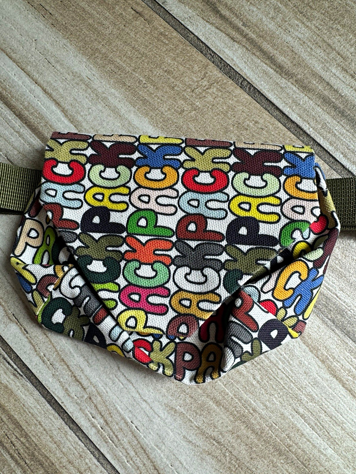 PACKPACK Multicolor Logo Belt Bag Fanny Pack Adjustable Green Strap Buckle