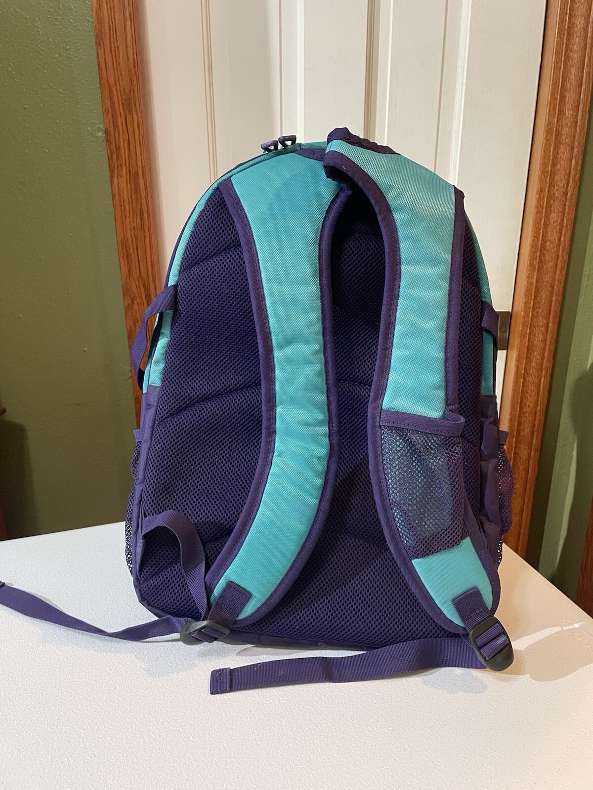 Magellan Outdoors Backpack Large Capacity Turquoise,Purple And Pink
