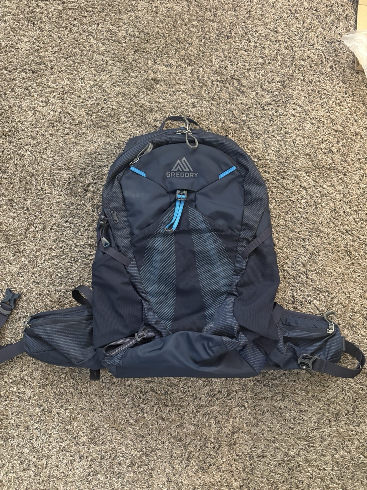 Gregory Miko 20L Daypack Volt Blue Men’s Backpack Lightly Used
