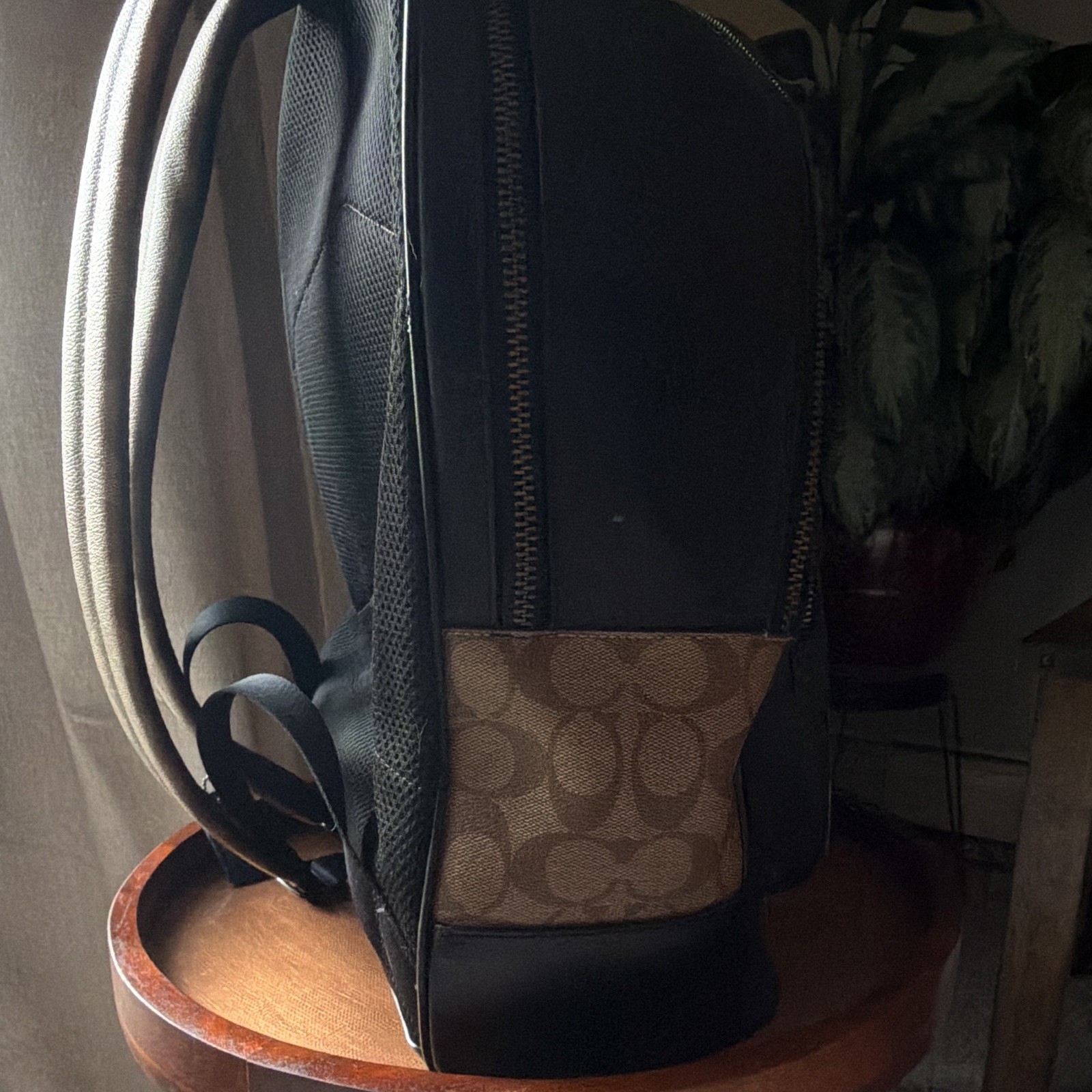 Coach x Kieth Haring Backpack Brown/Black