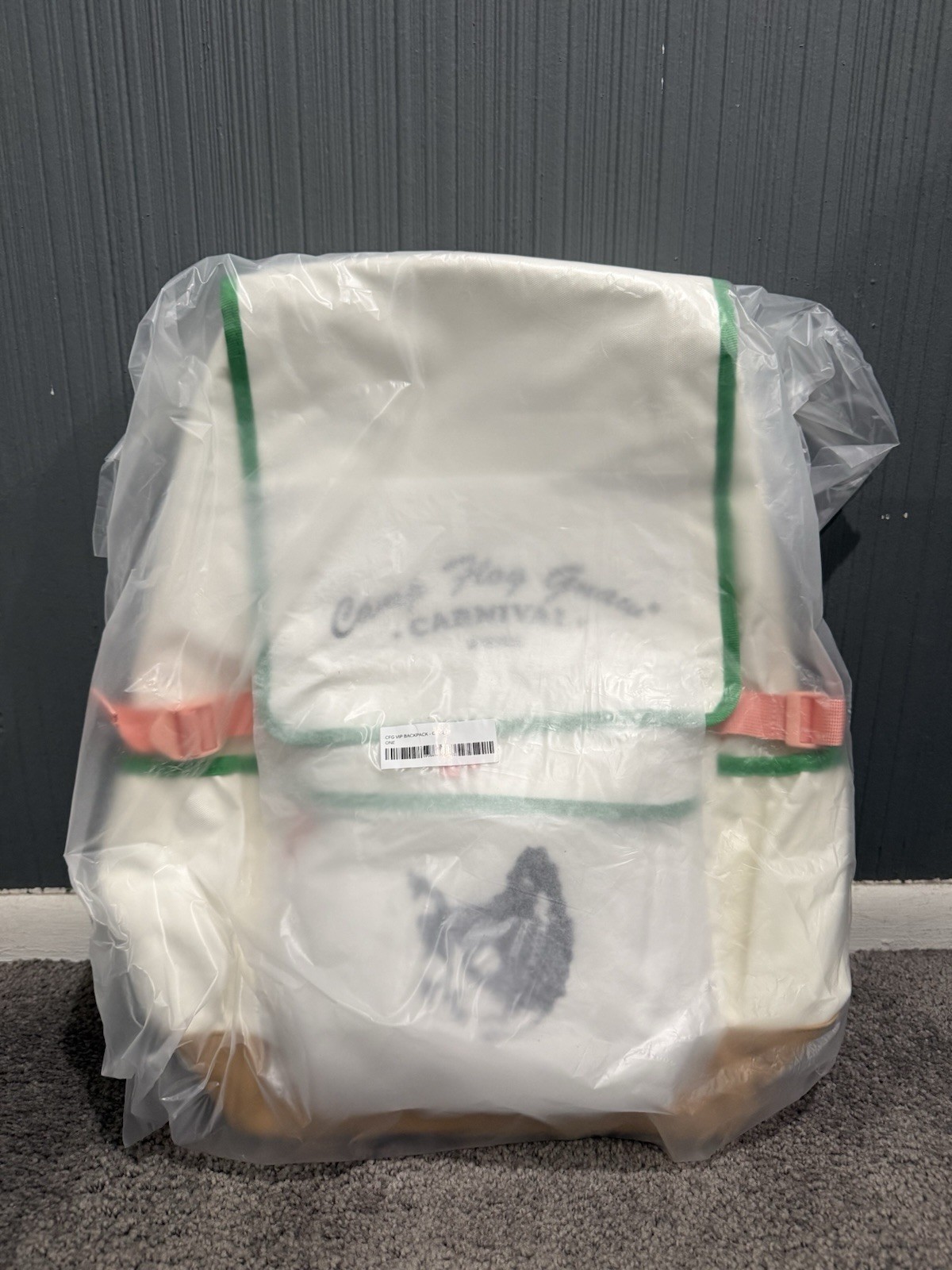 Camp Flog Gnaw Carnival Graphic Print Backpack White Green Pink Outer Pockets