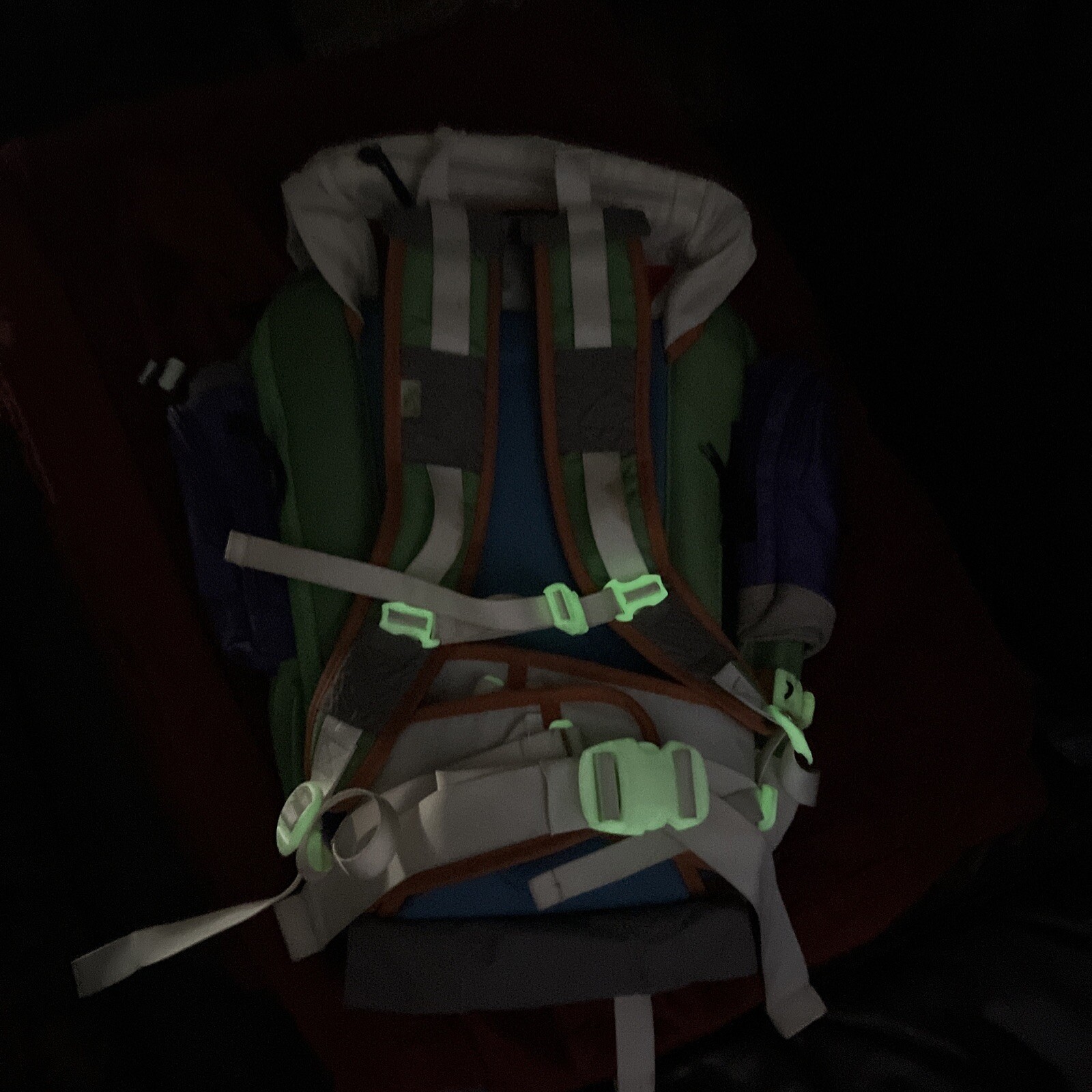 Nike SB Eugene “Buzz Lightyear” Backpack