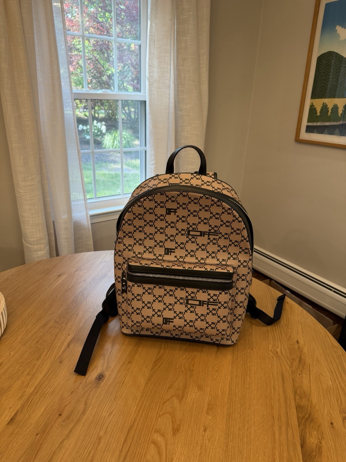 Off-White Backpack – Authentic And Pristine