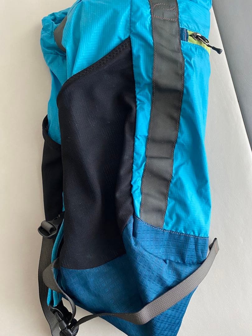 Patagonia Travel Tote 2way Backpack Lightweight Travel Tote