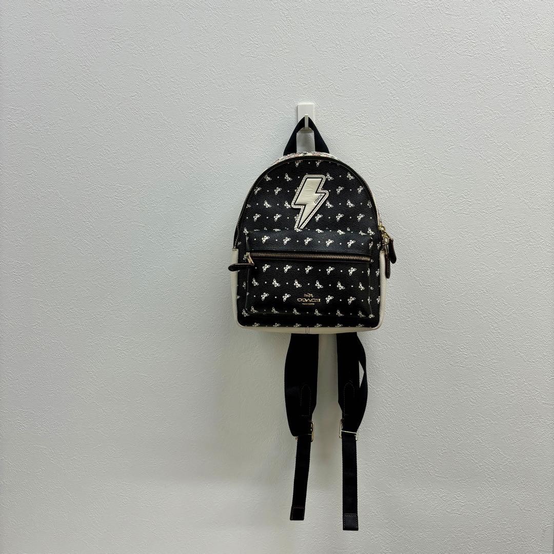 Import duty included for US buyers Coach Mini Backpack Charlie Paisley Red Acce