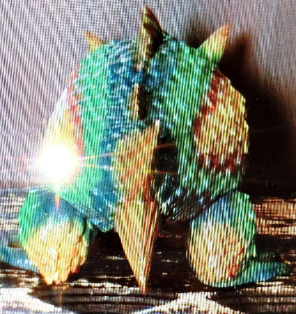 Freewheelers Big Size Multi-Color Sofubi Monster 42cm