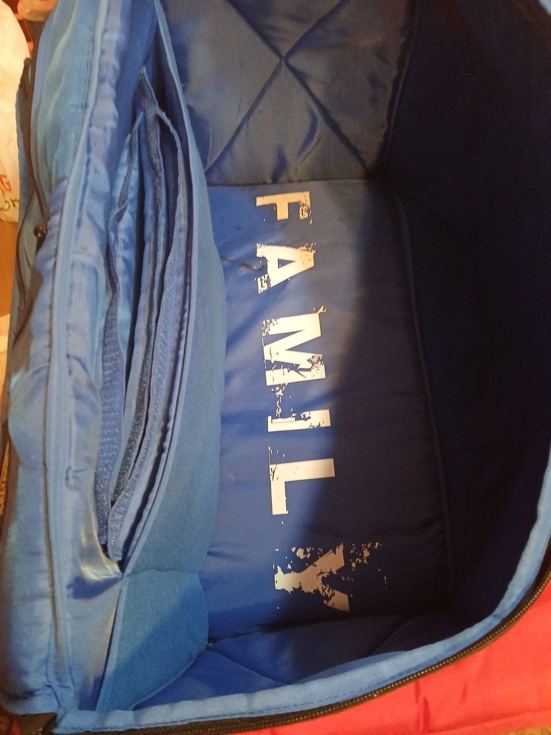 Detroit Piston Sneaker Duffle Bag
