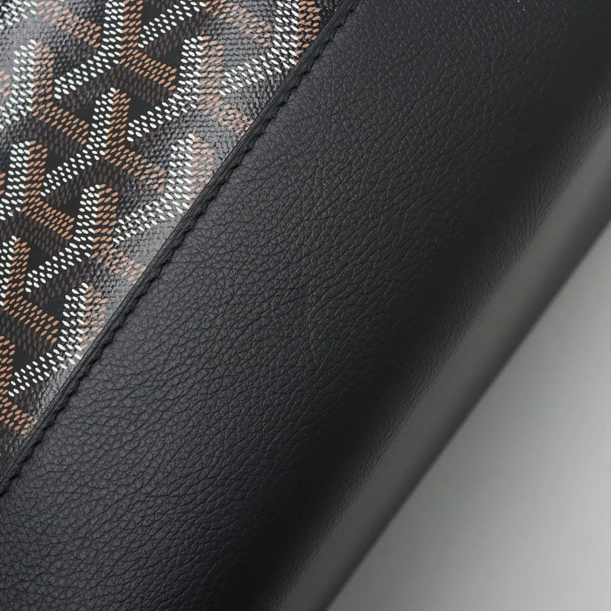 Goyard Sisalpan PVCx leather Backpack Black