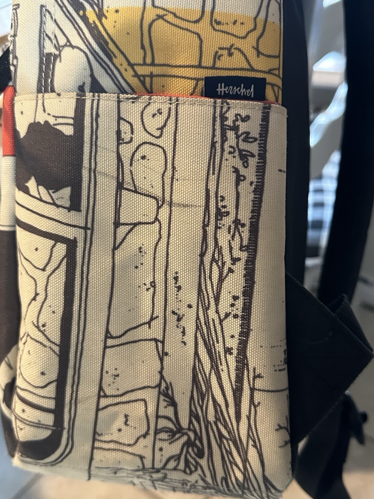 HERSCHEL & EVAN HECOX LIMITED EDITION GRAPHIC PRINT BACKPACK