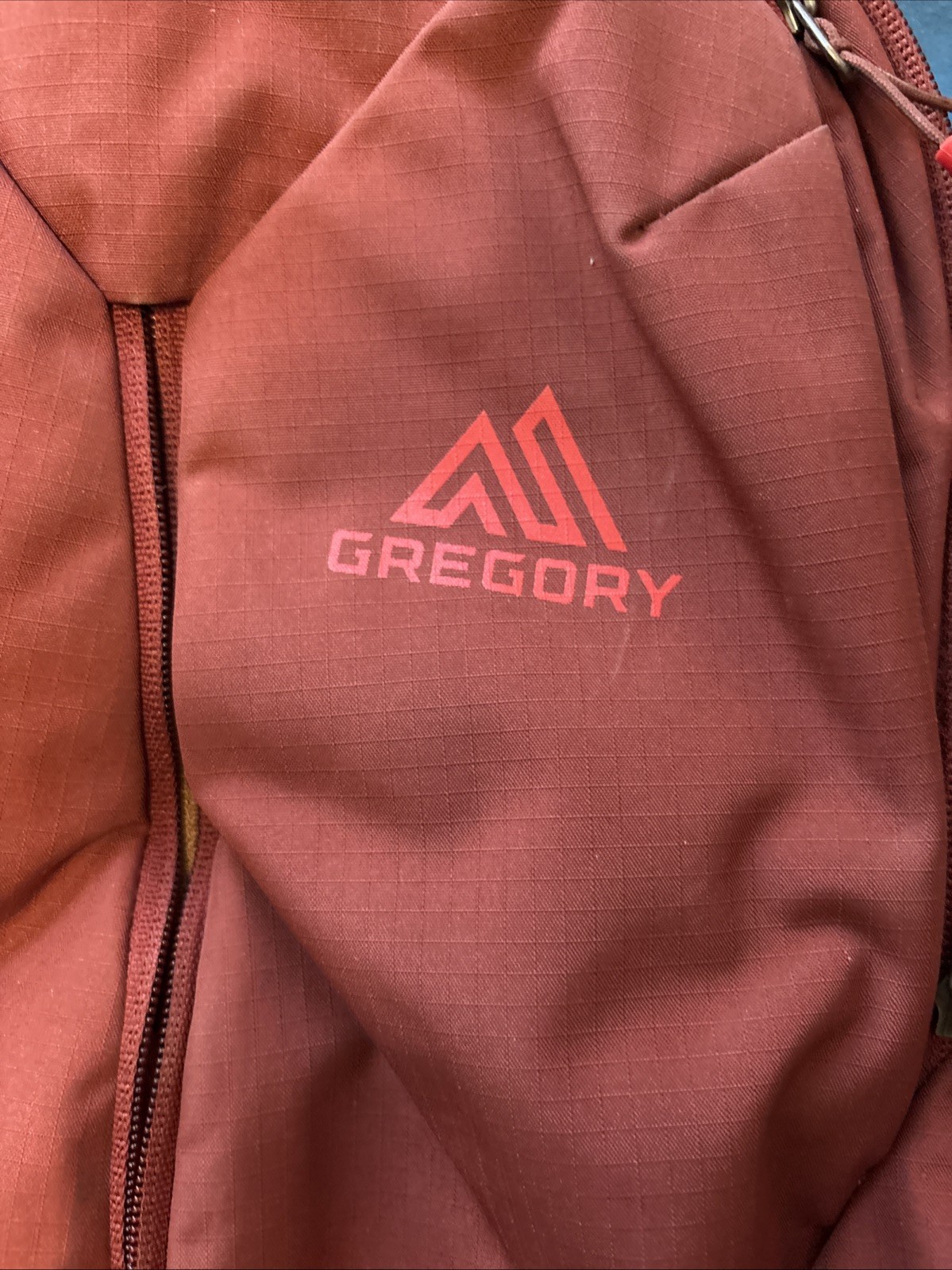 Gregory Rhune 20 Backpack Red