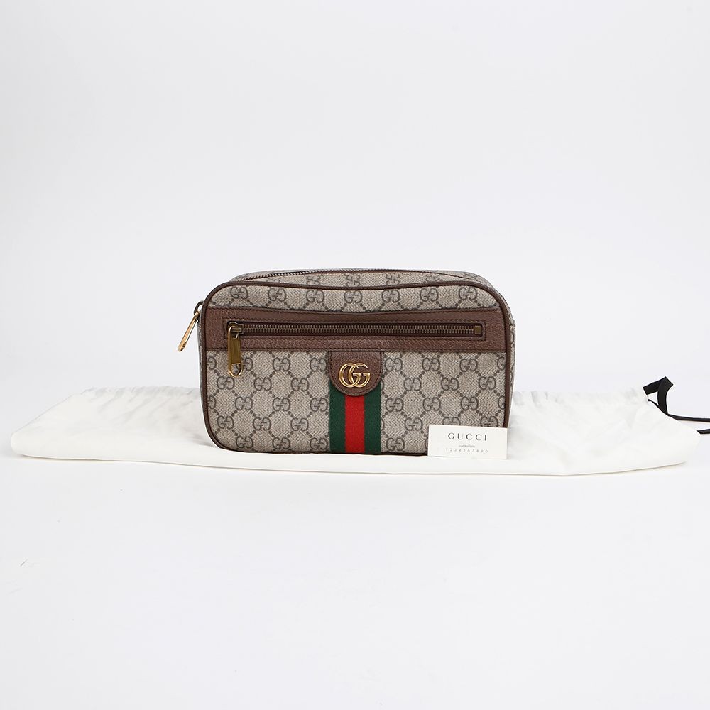 Gucci Ophidia Web Belt Bag 574796 155793344 [P]