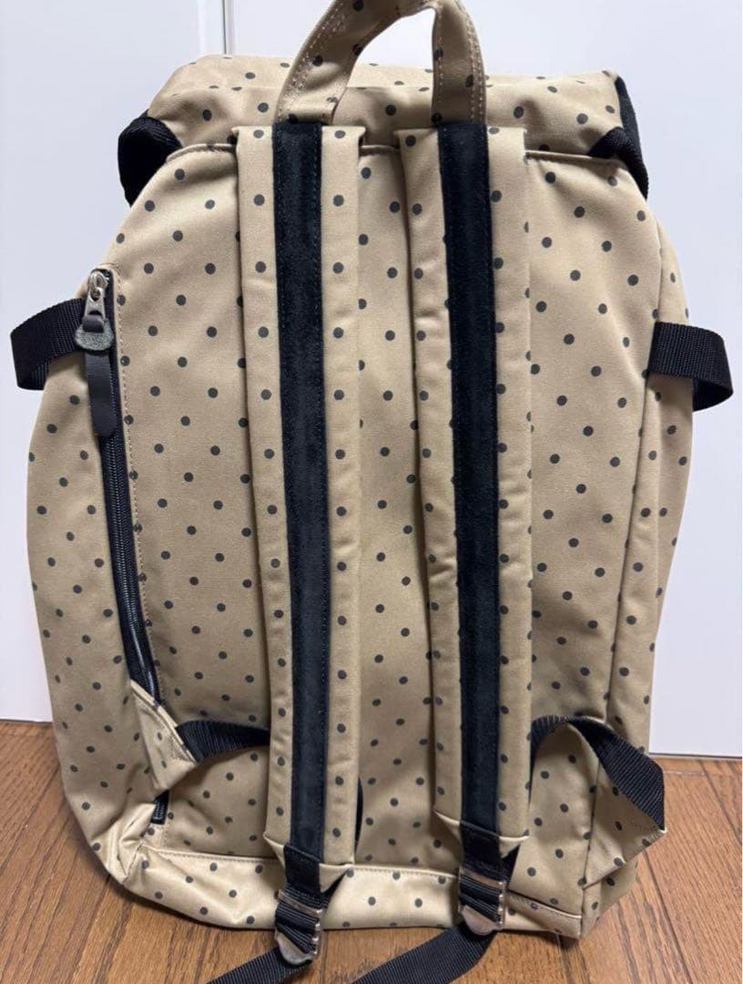 Stussy MASTERPIECE Backpack New without tags