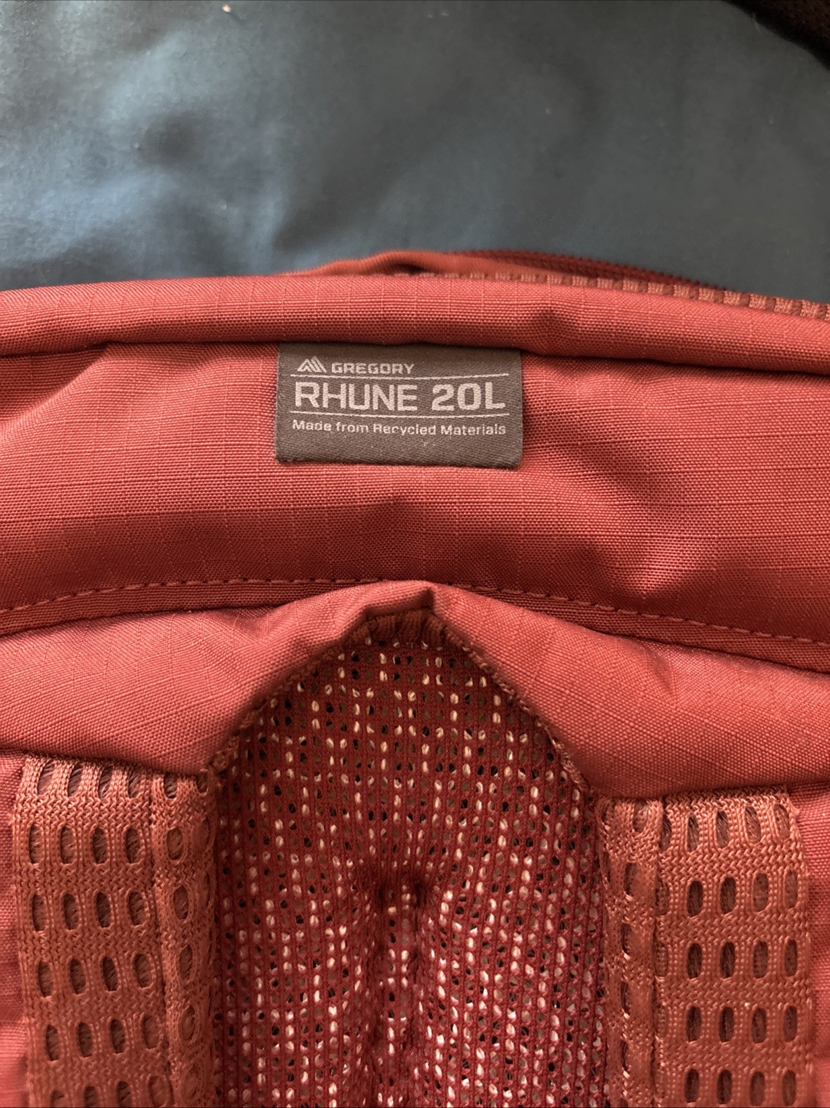 Gregory Rhune 20 Backpack Red