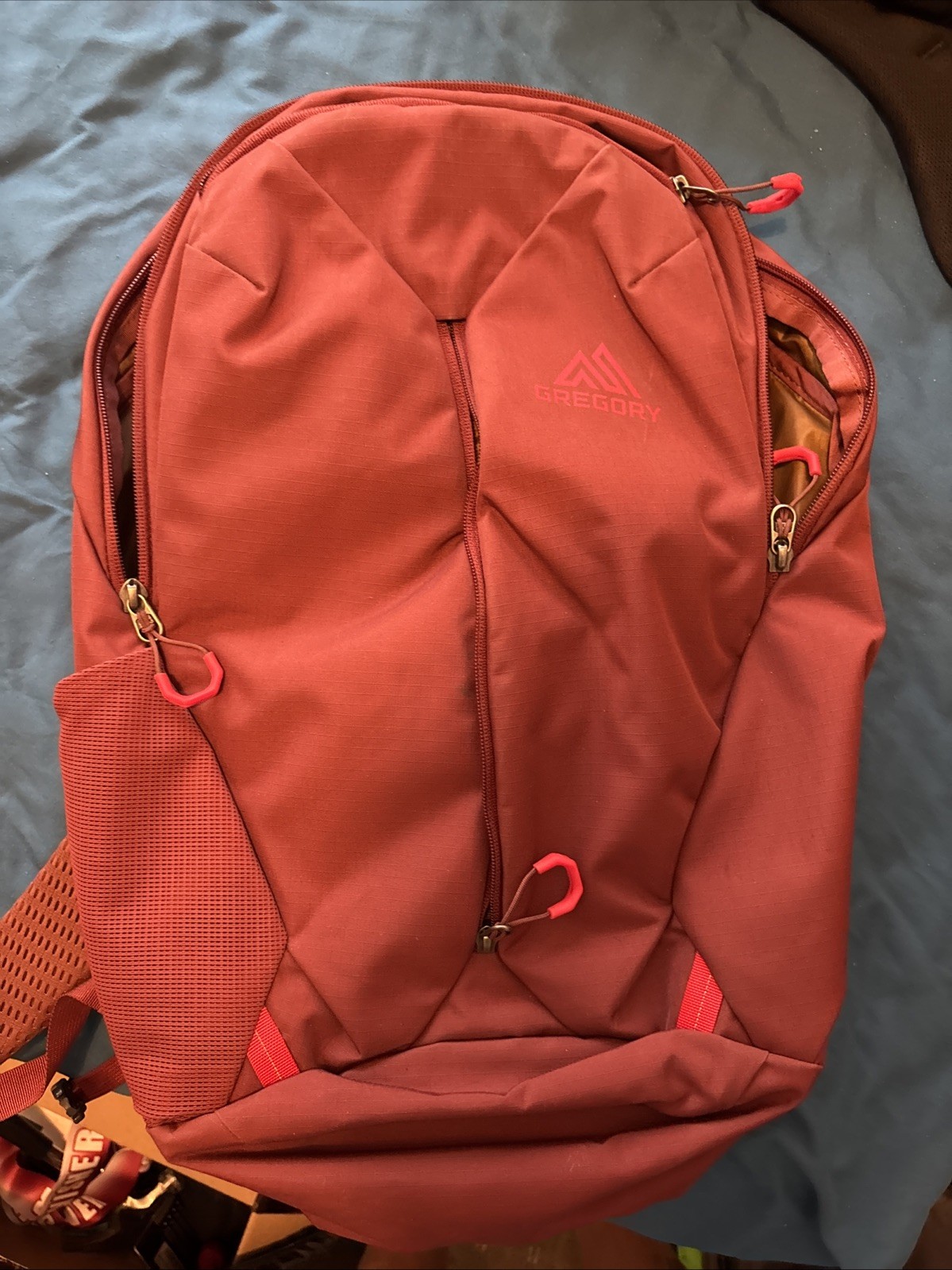 Gregory Rhune 20 Backpack Red