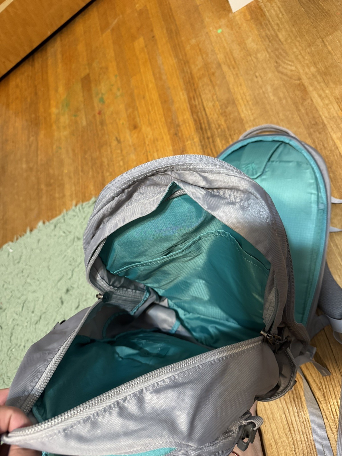 Gregory Backpack for Men & Women – perfect for hiking or school