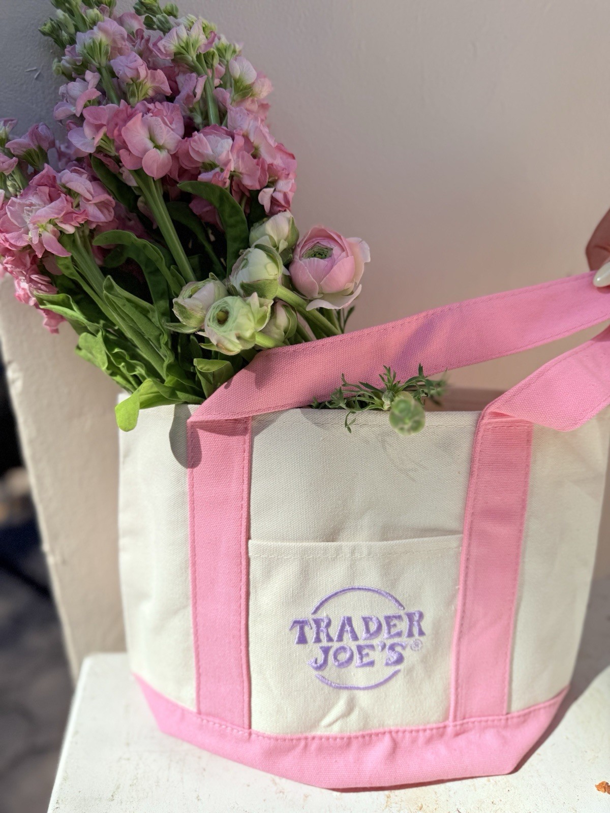 Trader Joes Mini Tote Bag