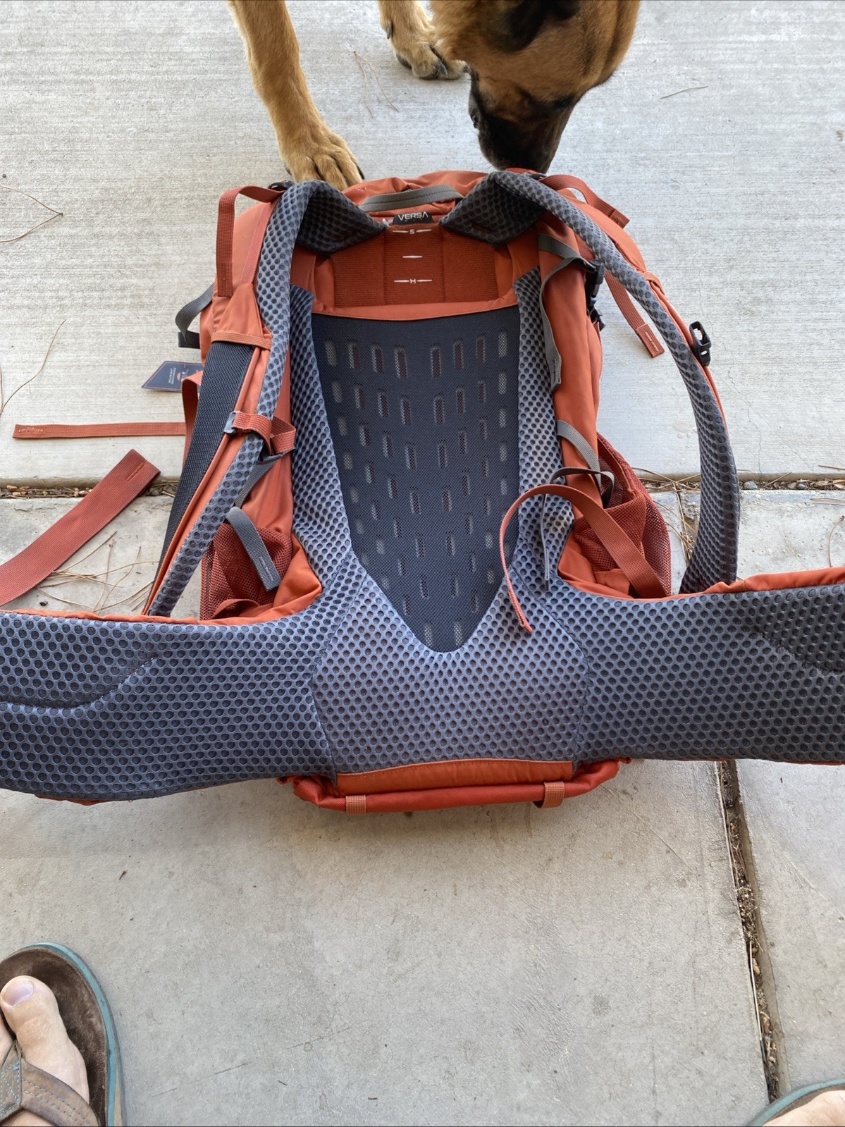 Gregory Stout 45 Backpack Orange | Rain Cover Included | New Without Tags