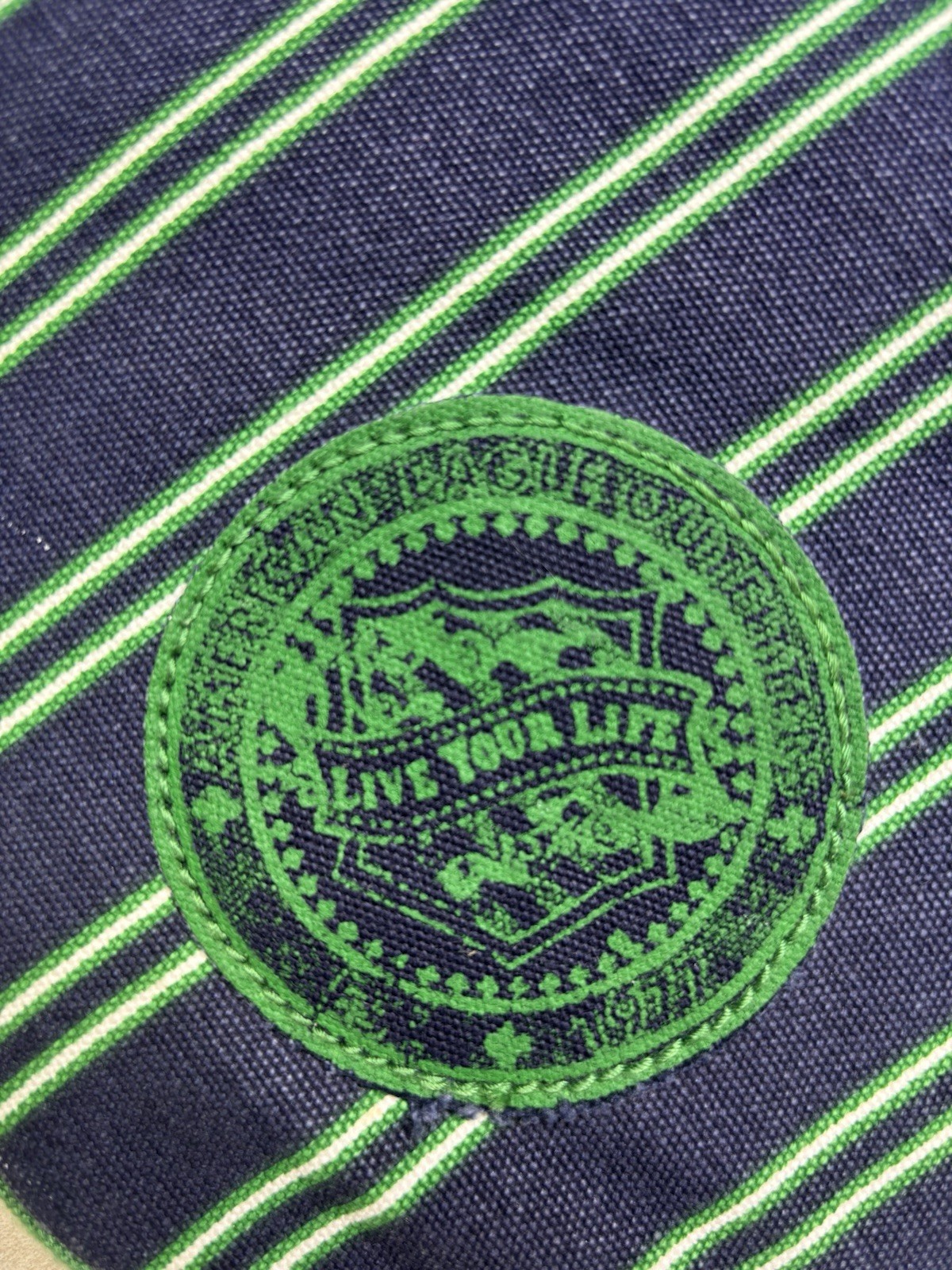 American Eagle Preppy Blue And Green Stripe Laptop Bag Crossbody One Compartment